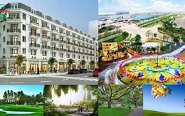 PALADO Vạn An làn gió mới cơ hội mới