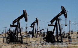 Trung Quốc có thể sẽ không nhập dầu thô của Mỹ trong năm 2019