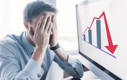 HSG giảm kịch sàn, Vn-Index lùi về sát mốc 890 điểm