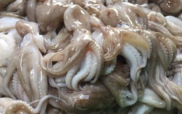 Việt Nam chỉ đứng sau Trung Quốc về xuất khẩu mực, bạch tuộc vào Nhật Bản