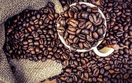 Cung cà phê thế giới sẽ vượt cầu tới 10,9 triệu bao trong niên vụ 2018/19