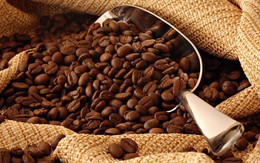 Xuất khẩu cà phê tăng mạnh trong 11 tháng