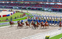 Quy hoạch đến năm 2020, Hà Nội sẽ có dự án trường đua ngựa có kinh doanh đặt cược