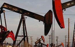 Thị trường ngày 06/12: Giá dầu lại giảm, thép tăng 4%