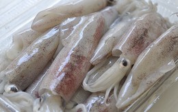 Xuất khẩu mực, bạch tuộc sang Italy chưa có dấu hiệu tăng trở lại