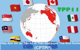 Những điều ít được biết đến về CPTPP