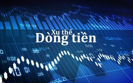 Xu thế dòng tiền: Thị trường bấp bênh, hành động thế nào?