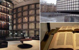 Ghé thăm thư viện Đại học Yale - thiết kế đặc biệt bảo vệ kho tàng sách hiếm nhất thế giới