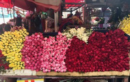 Hoa tươi đắt kỷ lục, cháy hàng trong dịp Valentine