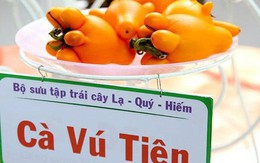 Tạp chí uy tín thế giới viết về 2 chất độc trong quả dư bán chưng Tết tràn lan ở Việt Nam