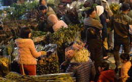[ẢNH] Tấp nập chợ hoa Quảng An đêm trước Giao thừa