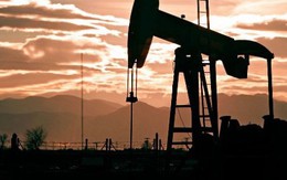 Goldman Sachs nâng dự báo giá dầu lên 82,5 USD/thùng