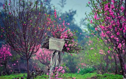 Dòng tiền lan tỏa rộng khắp thị trường, VnIndex bật tăng hơn 5 điểm sau 2 phiên giảm sâu liên tiếp