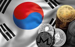 Nơi buồn nhất của những nhà đầu tư bitcoin