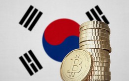 Bitcoin đã tăng giá gấp đôi chỉ trong 2 tuần qua