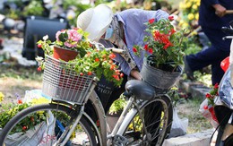 Bế mạc hội hoa xuân Tao Đàn, người dân "mót" lại hoa sắp cho vào xe rác