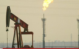 Giá dầu tăng 2 tuần liên tiếp