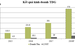 Vượt chỉ tiêu doanh thu, TDG chia cổ tức 20% cho cổ đông cho năm 2017