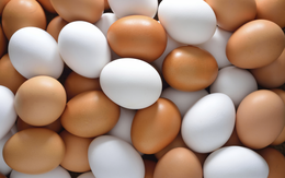 Hòa Phát sẽ bán 20 triệu trứng gà trong năm 2018, mục tiêu đẩy nhanh dự án Dung Quất