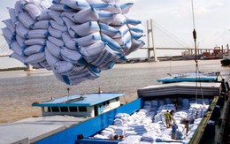 Nhu cầu lớn, xuất khẩu gạo của Việt Nam tăng rất mạnh