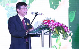 QNS tăng mạnh, Chủ tịch Võ Thành Đàng vẫn liên tục mua vào