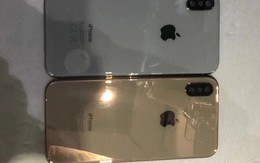 Lộ ảnh iPhone X màu vàng tuyệt đẹp, có thể ra mắt ngay trong năm nay