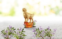 Bộ sưu tập linh khuyển gói 6 ước nguyện cho năm Tuất viên mãn