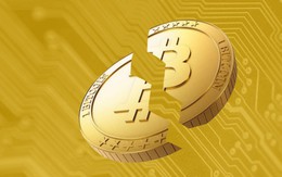 Bitcoin vừa thêm một lần thủng đáy 8.000 USD, cơn ác mộng vẫn chưa có hồi kết