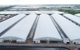 Nông nghiệp 4.0 và tư duy “Công nghệ cao” thực sự trong đầu tư trang trại