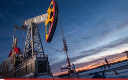 Giá dầu giảm 4 phiên liên tục do sản lượng Mỹ tăng kỷ lục