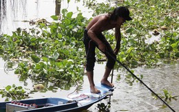 Cá chép phóng sinh chưa kịp "đưa ông Táo về trời" đã bị người vợt, kẻ chích điện