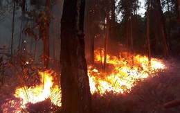 Ngày cúng ông Công, ông Táo, Quảng Ninh liên tiếp xảy ra 2 vụ cháy rừng lớn