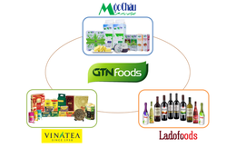 Đã có Ladofoods, Vinatea, Sữa Mộc Châu, công ty GTNfoods sẽ đi tiếp như thế nào?