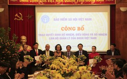 BHXH Việt Nam điều động, bổ nhiệm cán bộ quản lý