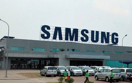 Samsung Display Việt Nam đạt doanh thu 49,3 nghìn tỷ đồng chỉ trong 2 tháng đầu năm, cao gấp đôi cùng kì năm ngoái