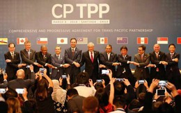 Đứng cuối bảng về trình độ phát triển kinh tế trong 11 nước, liệu Việt Nam có trở thành thị trường tiêu thụ của các quốc gia CPTPP?