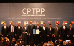 CPTPP sẽ không tác động đột ngột tới thu ngân sách của Việt Nam