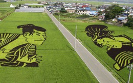 Làng thần kỳ Nhật Bản: Từ nghèo nhất đến nổi tiếng khắp cả nước, doanh số bán gạo tăng 400% nhờ biến ruộng lúa thành tranh