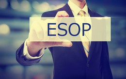 Không chỉ tăng lương, các ngân hàng còn đua phát hành cổ phiếu ESOP để giữ chân nhân tài