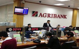 Agribank đấu giá tài sản của Khoáng sản Miền Trung với giá 284 tỷ đồng