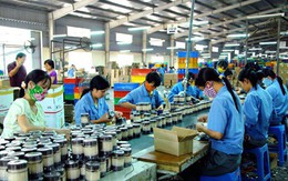 Góc nhìn của doanh nghiệp Việt về môi trường kinh doanh như thế nào?