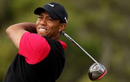 Điều gì đã khiến sau 10 năm thăng trầm, người ta vẫn vững tin, vẫn chờ đợi vào sự trở lại của "Siêu hổ" Tiger Woods?