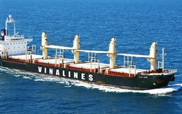Vinalines tham gia vận tải than từ Australia về Việt Nam