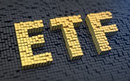 Review ETF: FTSE Vietnam ETF thêm VRE, TCH, PDR vào danh mục