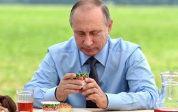 Thói quen ăn uống của tổng thống Vladimir Putin: Ít nhưng chất và cực khắt khe!