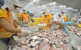 “Cơn bão” áp thuế của Mỹ nối dài khó khăn của doanh nghiệp cá tra Việt
