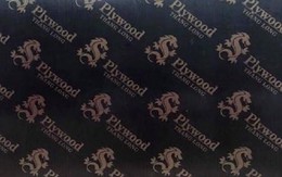 TLD - Lên kế hoạch xây dựng nhà máy sản xuất ván ép thứ 6 tại Tuyên Quang