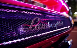 Chuyện về tay chủ xe Lamborghini "điên" nhất thế giới: Phủ kim cương, sơn kín xe bằng màu hồng lấp lánh