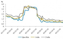 NHNN tiếp tục hút mạnh tiền về, lãi suất liên ngân hàng vẫn giảm