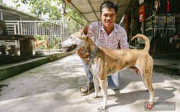 Gặp chàng trai từ phụ bếp trở thành “triệu phú” sở hữu trang trại nuôi chó Phú Quốc trị giá hàng tỷ đồng